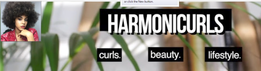 Harmoni curls 6